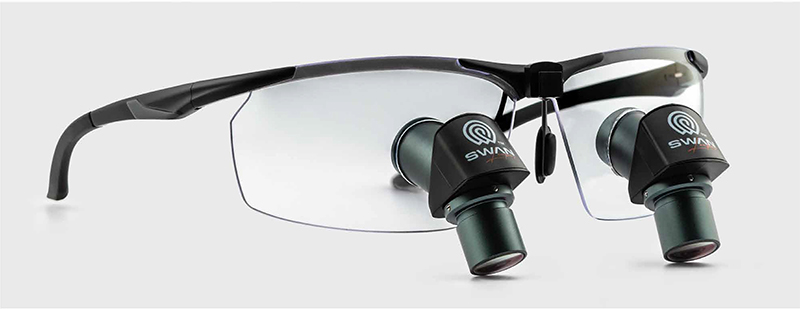 SWAN 1.jpg SWAN 1.jpg